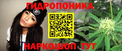 метадон Тверь